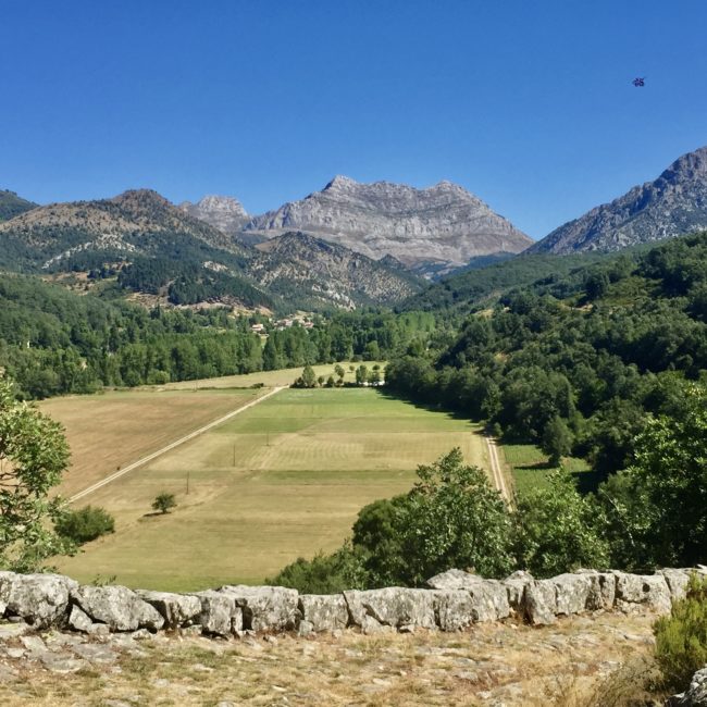 Arboles y montañas al fondo