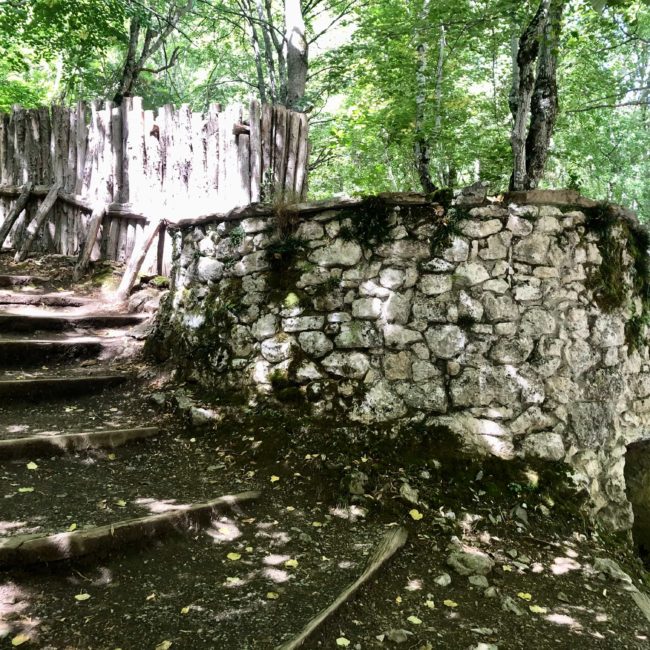 Escaleras de entre arboles