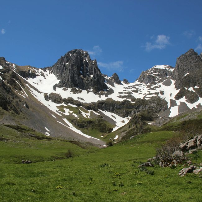 Montañas nevadas