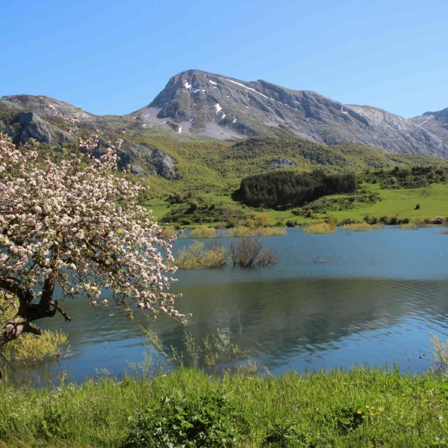 Lago en las montañas