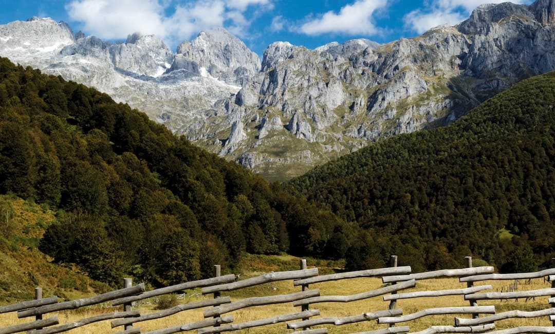 Picos de Europa