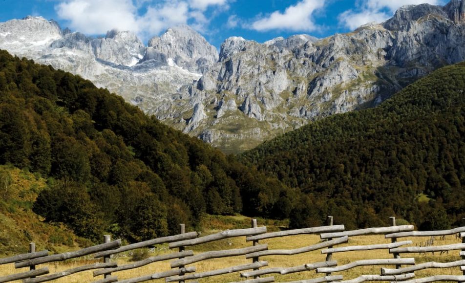 Picos de Europa