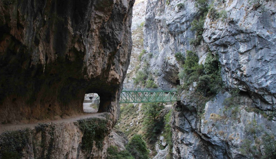 Puente en las montañas