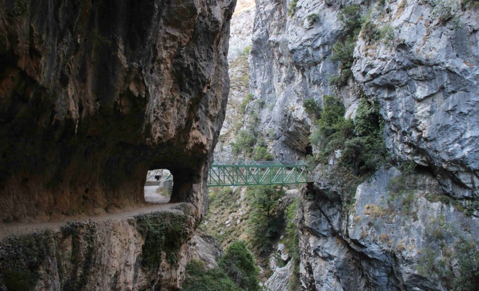 Puente en las montañas