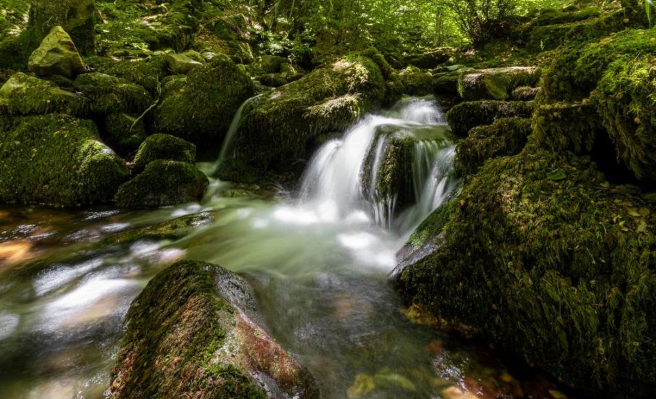 Riachuelo entre las rocas