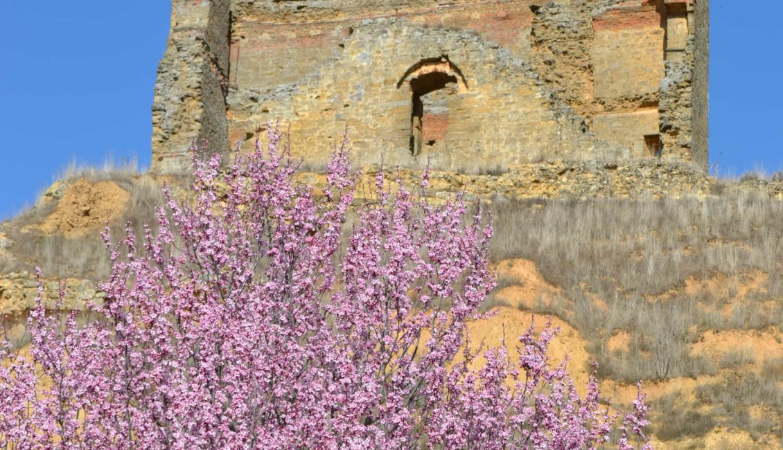 Ramas de árbol y castillo