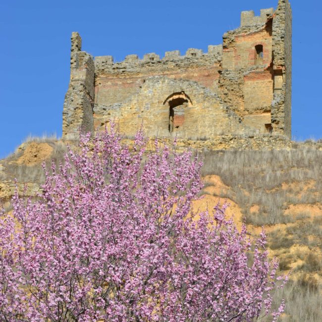 Ramas de árbol y castillo