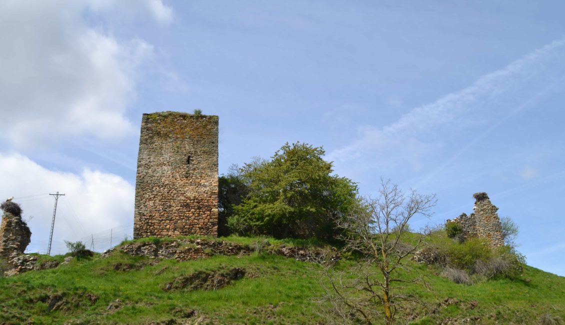 Ruinas de un castillo