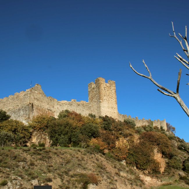 Estructura del castillo