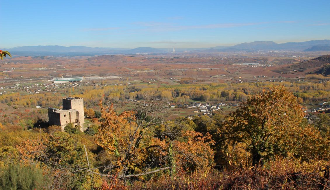 Castillo entre bosque