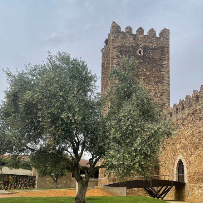 Torre del castillo y murallas