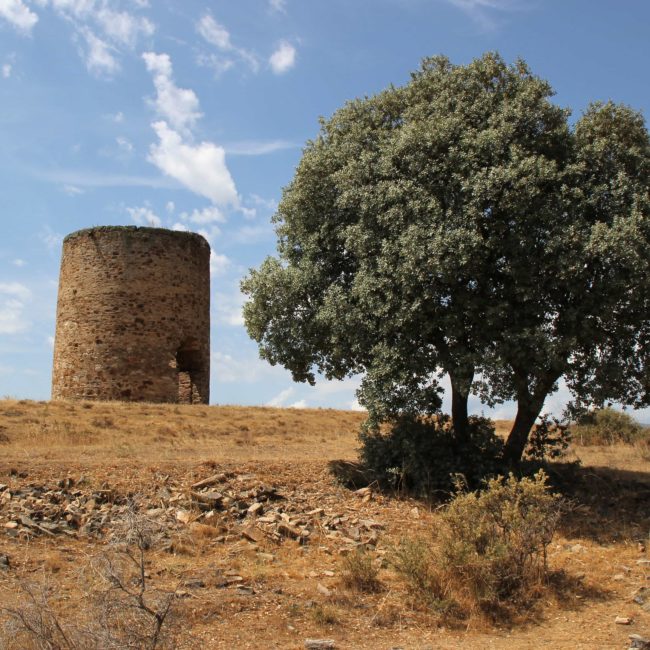 Torre del castillo