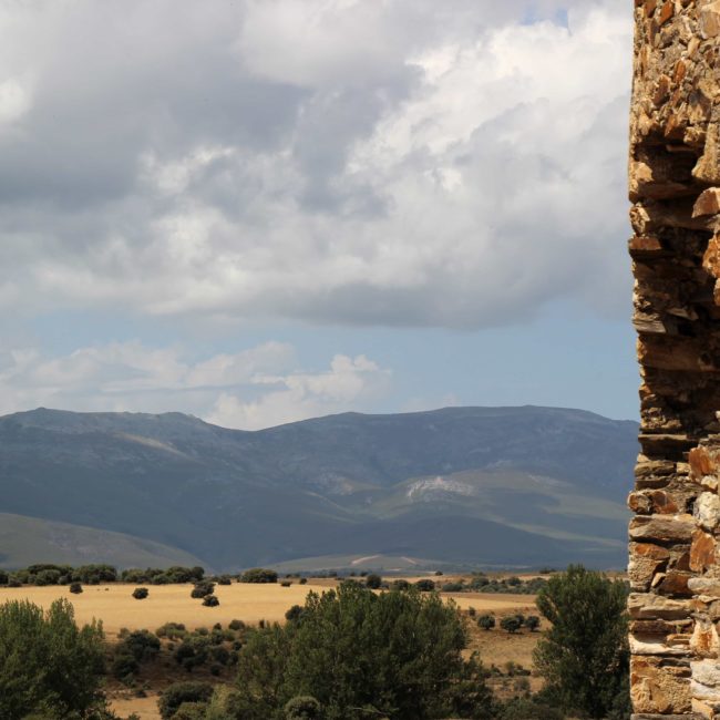 Muro del castillo