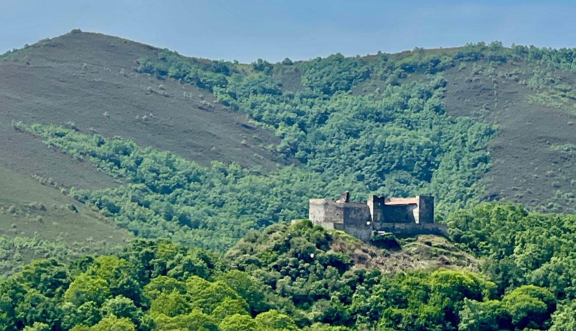 Castillo entre los arboles