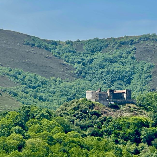 Castillo entre los arboles