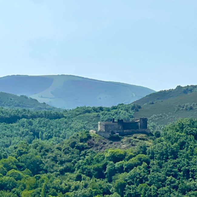 Castillo en el bosque