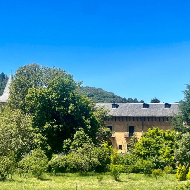 Edificio entre los arboles