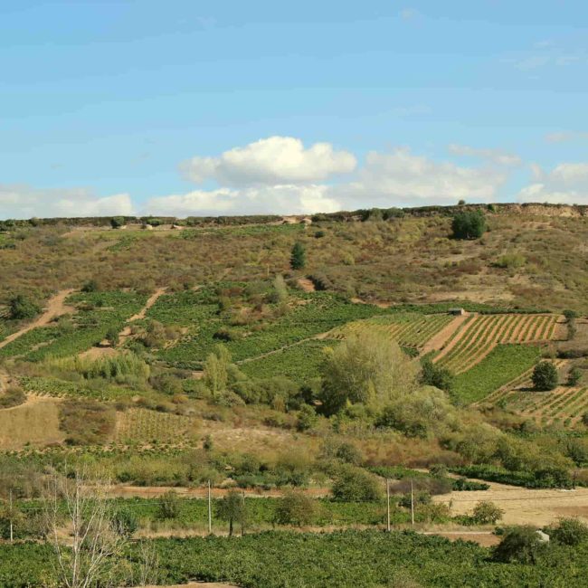 Vista panorámica del monte