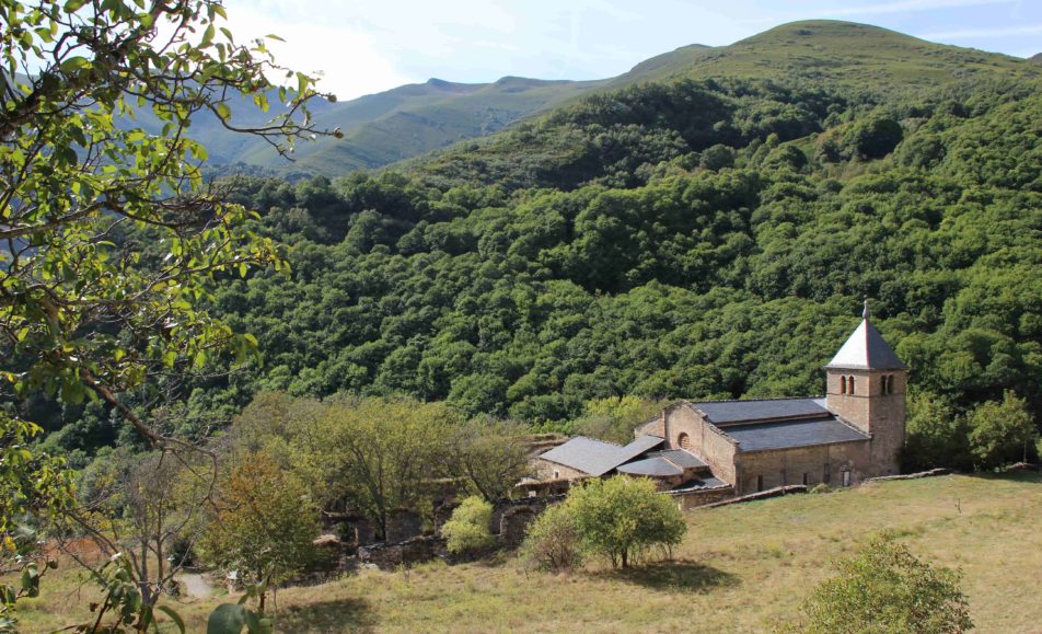 Monasterio entre el bosque