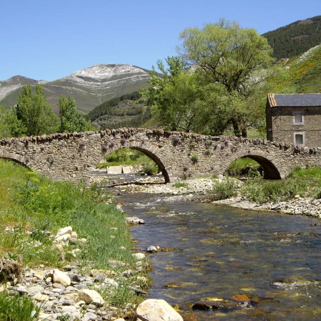 Puente de piedra con un río