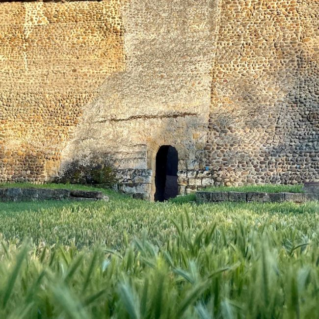 Murallas y hierba