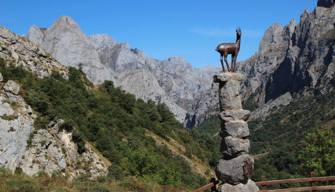 Montañas de los Picos de Europa