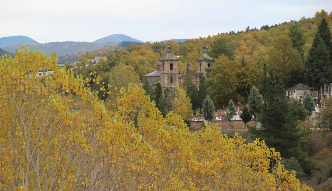 Árboles con iglesia de fondo