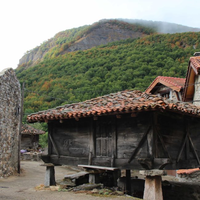 Hórreo de madera