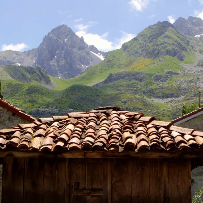 Tejado del Hórreo