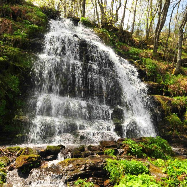 Cascada de agua