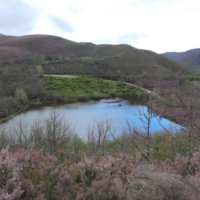 Lago en el monte