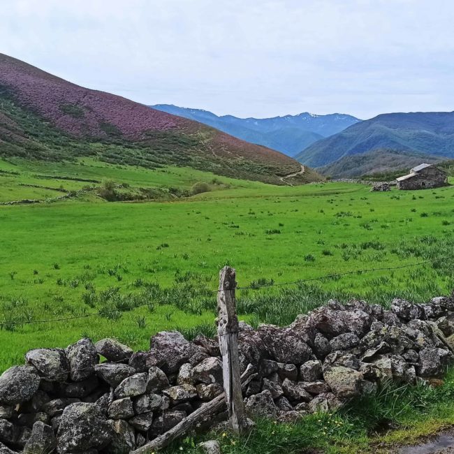 Montañas y valle