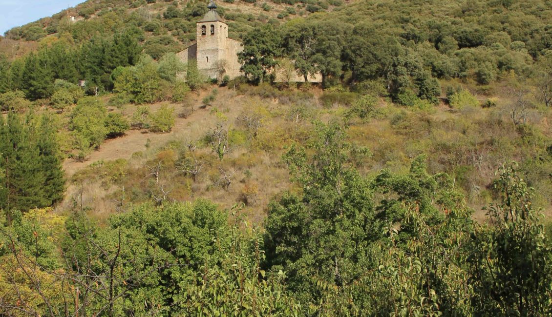 Iglesia al fondo rodeada de árboles