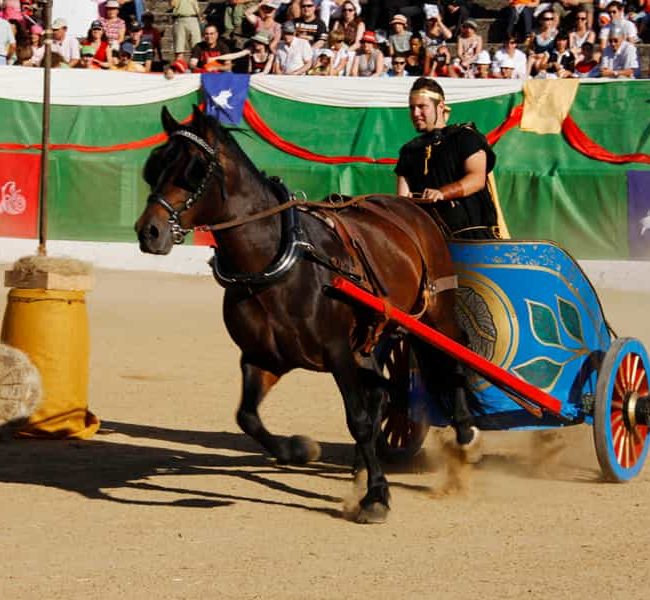 Fiesta de Astures