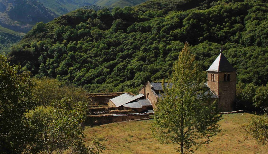 Una iglesia entre los árboles