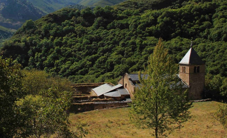 Una iglesia entre los árboles