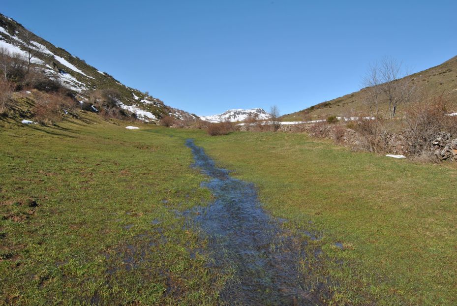 Riachuelo en el valle