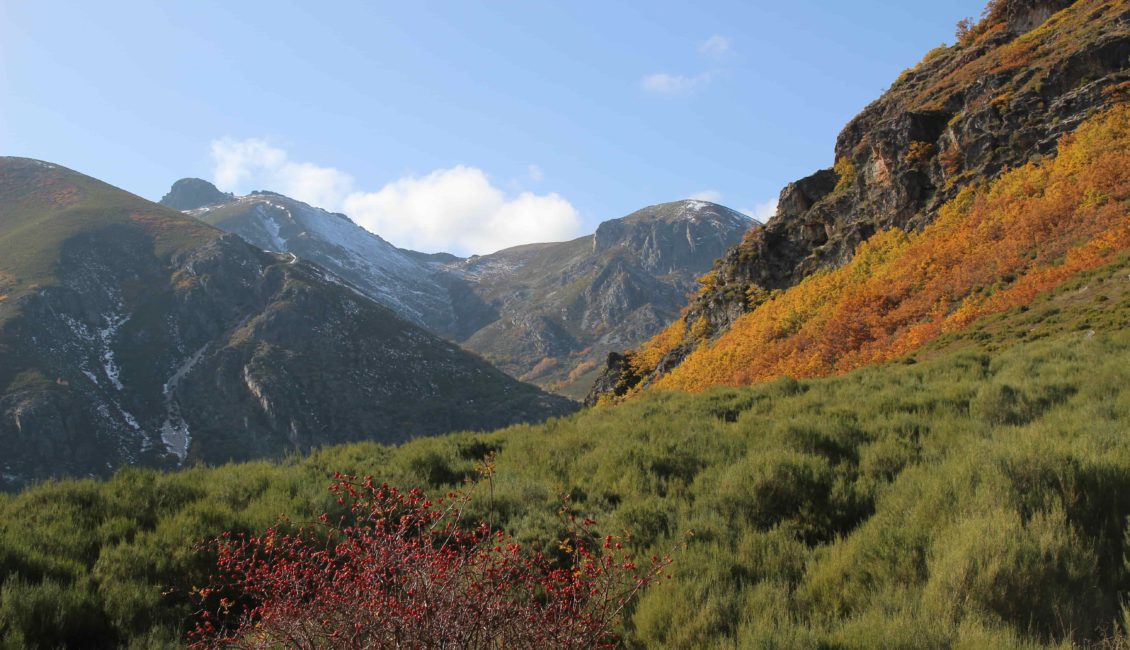 Parque Natural de Babia y Luna