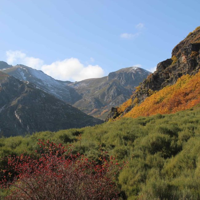 Parque Natural de Babia y Luna