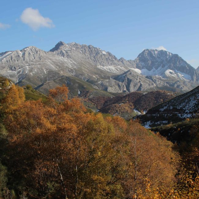 Parque Natural de Babia y Luna